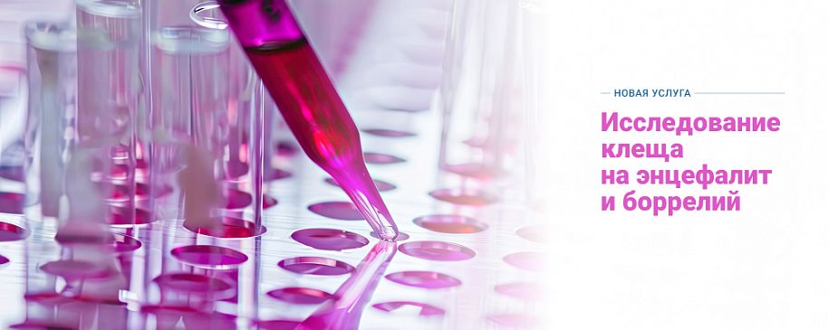Исследования на клещевые инфекции